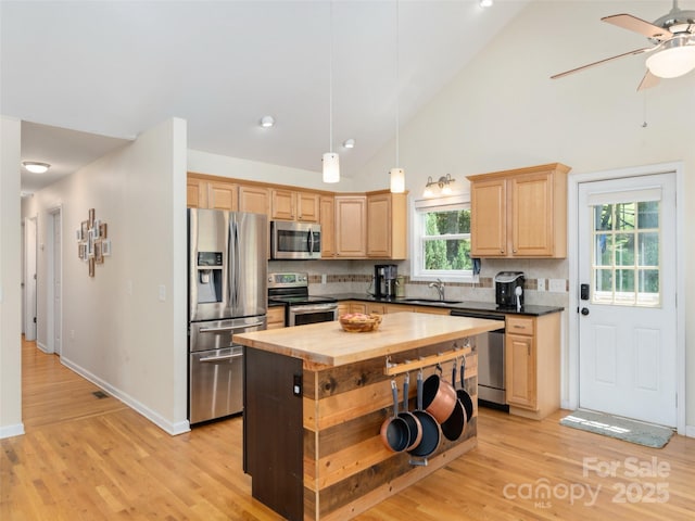 799 Coyote Hollow Rd, Waynesville, NC 28785 - photo 7