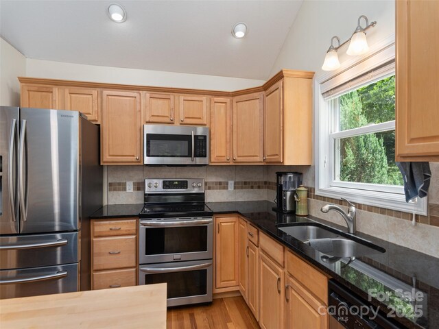 799 Coyote Hollow Rd, Waynesville, NC 28785 - photo 9