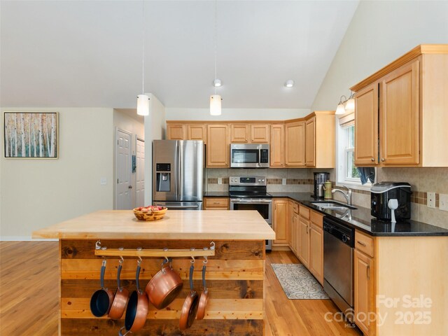 799 Coyote Hollow Rd, Waynesville, NC 28785 - photo 10