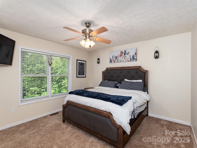 799 Coyote Hollow Rd, Waynesville, NC 28785 - photo 11