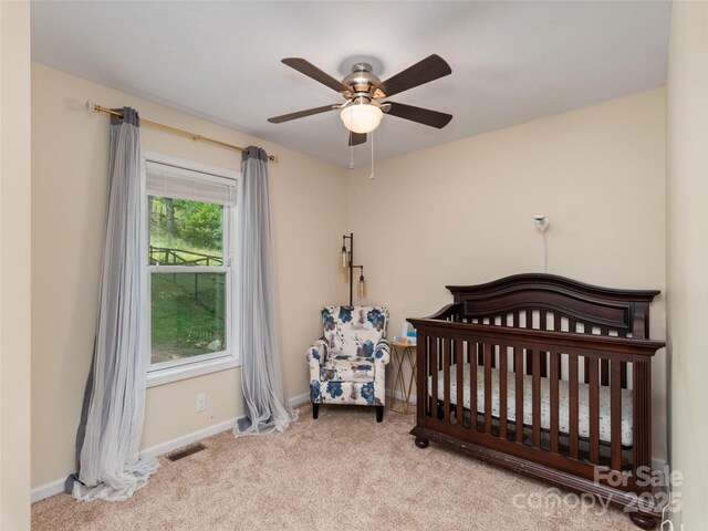 799 Coyote Hollow Rd, Waynesville, NC 28785 - photo 17