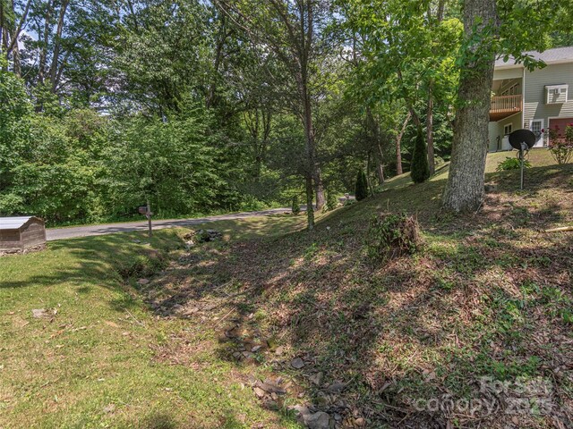 799 Coyote Hollow Rd, Waynesville, NC 28785 - photo 30