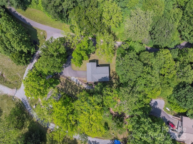 799 Coyote Hollow Rd, Waynesville, NC 28785 - photo 32