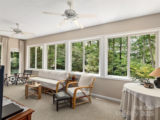 306 Croydon Dr, Hendersonville, NC 28791 - sunroom / solarium featuring plenty of natural light, carpet floors, and baseboards
