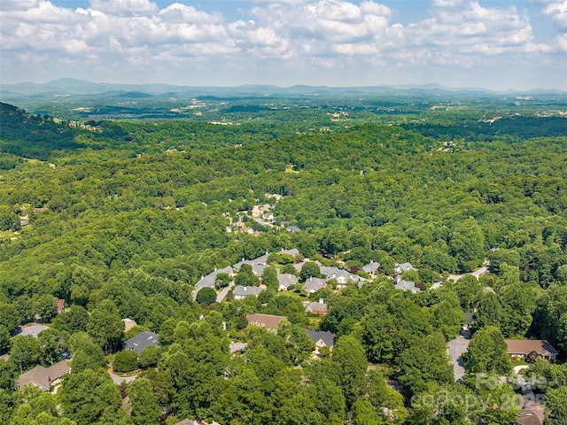 306 Croydon Dr, Hendersonville, NC 28791 - bird's eye view of a heavily wooded area and mountains