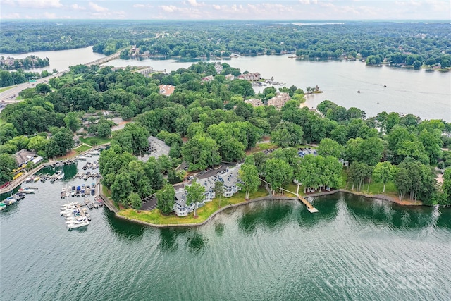 303 NW Dr, Davidson, NC 28036 - aerial view of a nearby body of water