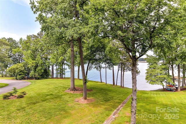 303 NW Dr, Davidson, NC 28036 - view of green lawn with a water view