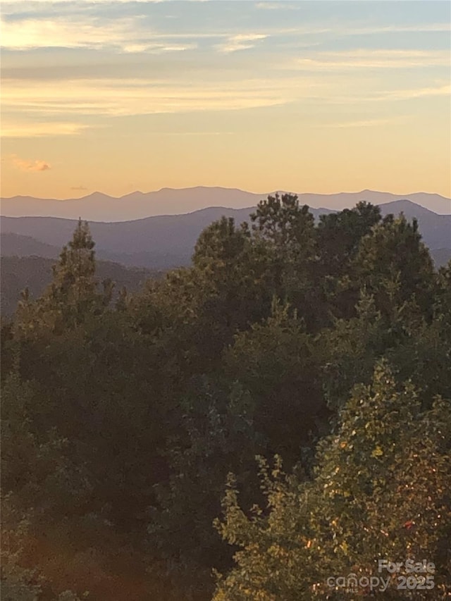 000 Mountain Lookout Dr Lot 82, Bostic, NC 28018