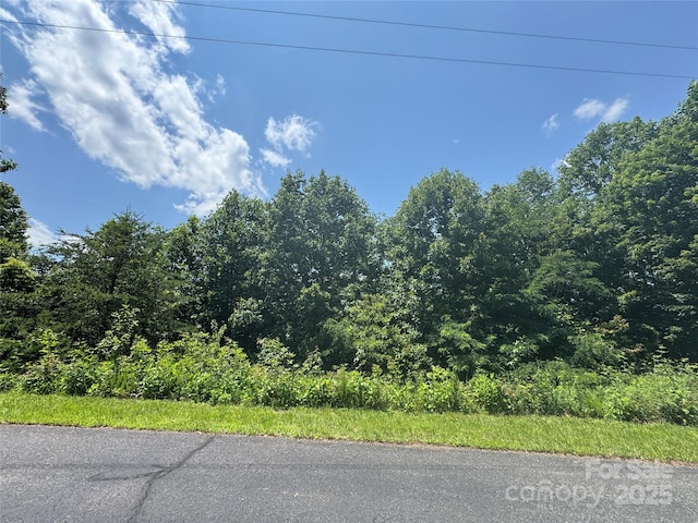 000 Mountain Lookout Dr Lot 82, Bostic, NC 28018