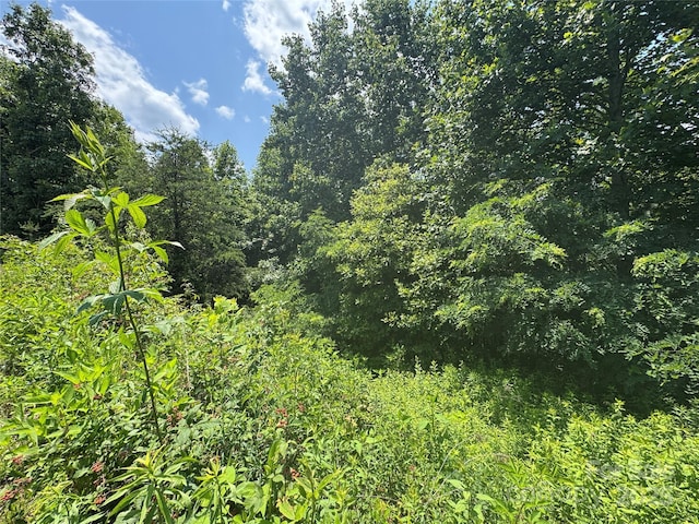 000 Mountain Lookout Dr Lot 82, Bostic, NC 28018