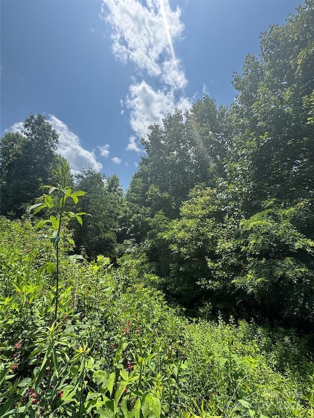 000 Mountain Lookout Dr Lot 82, Bostic, NC 28018