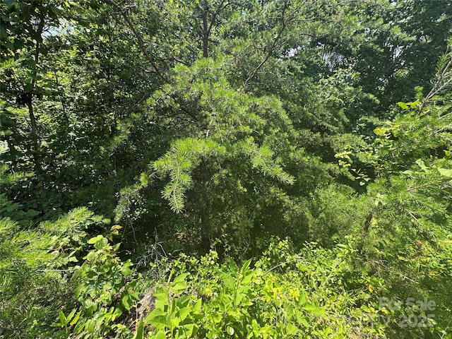 000 Mountain Lookout Dr Lot 82, Bostic, NC 28018