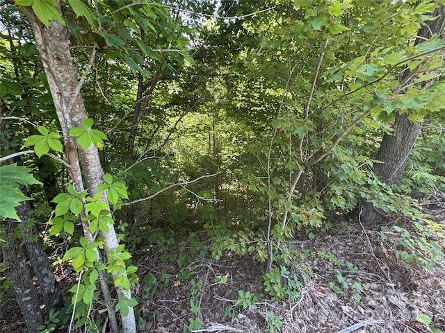 000 Mountain Lookout Dr Lot 82, Bostic, NC 28018