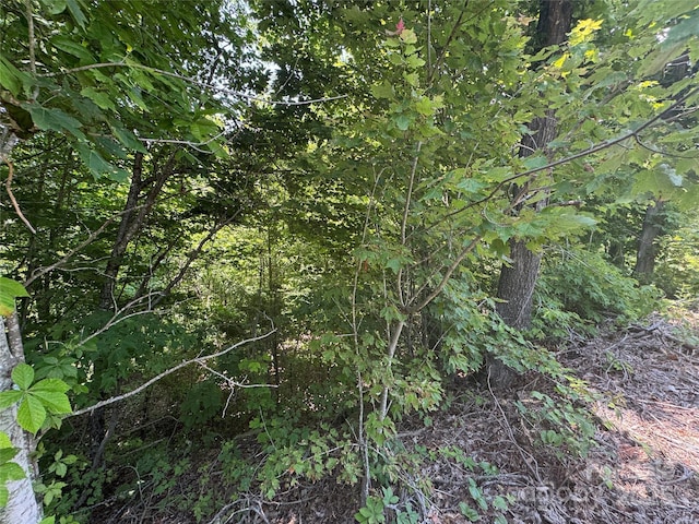 000 Mountain Lookout Dr Lot 82, Bostic, NC 28018