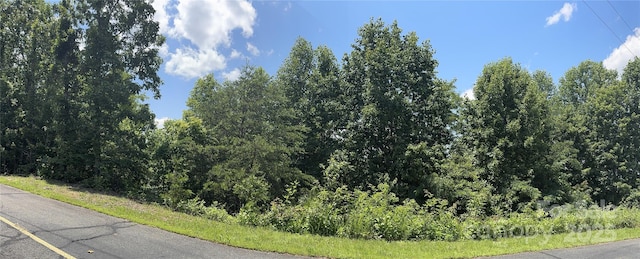 000 Mountain Lookout Dr Lot 82, Bostic, NC 28018