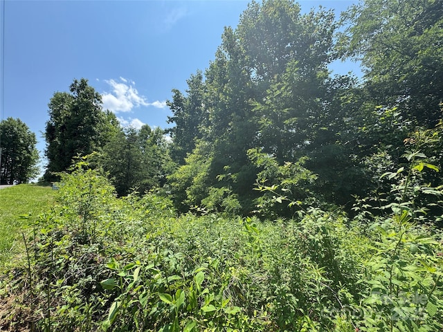 000 Mountain Lookout Dr Lot 82, Bostic, NC 28018