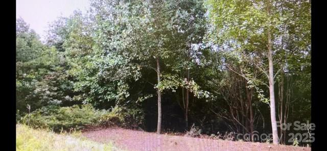 000 Mountain Lookout Dr Lot 82, Bostic, NC 28018