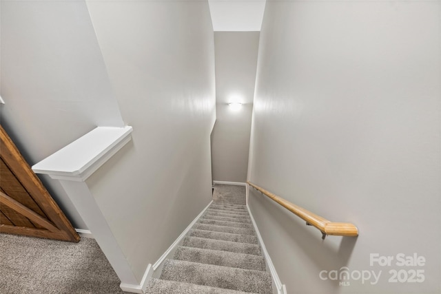 1925 Sandal Brook Rd, Indian Land, SC 29707 - stairway with carpet floors and baseboards
