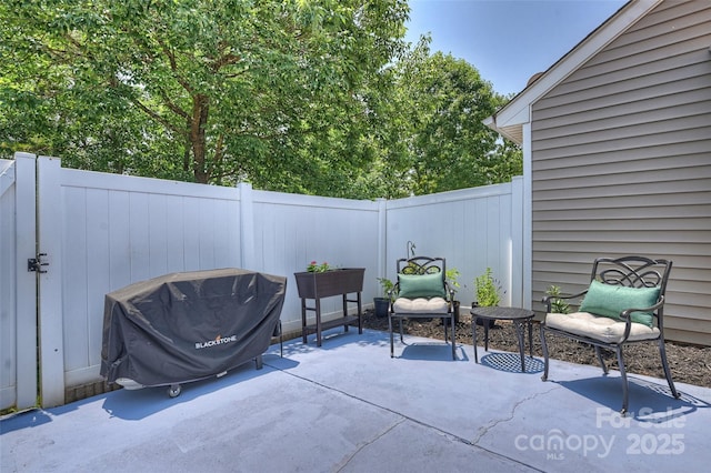 1925 Sandal Brook Rd, Indian Land, SC 29707 - fenced backyard with a patio area