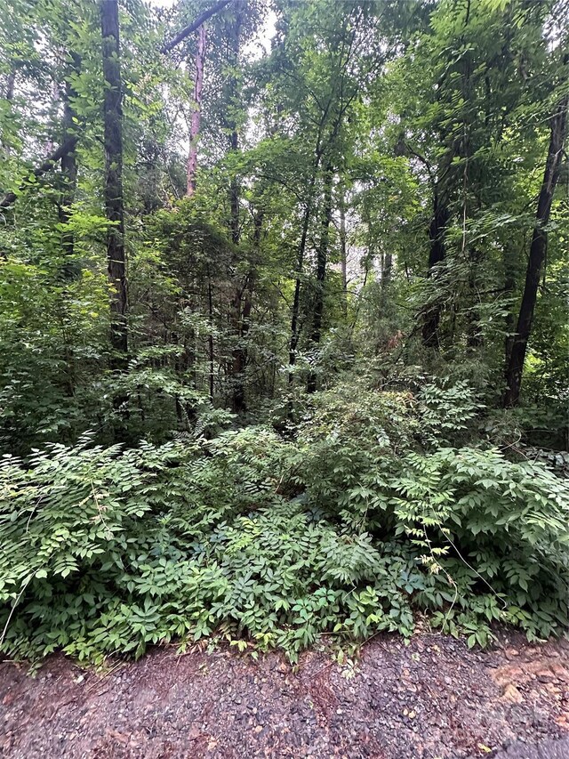 0 Stonegate Rd, Monroe, NC 28110