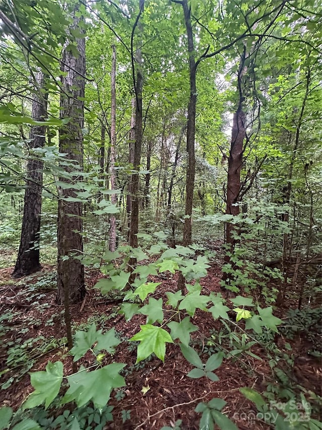 0 Stonegate Rd, Monroe, NC 28110