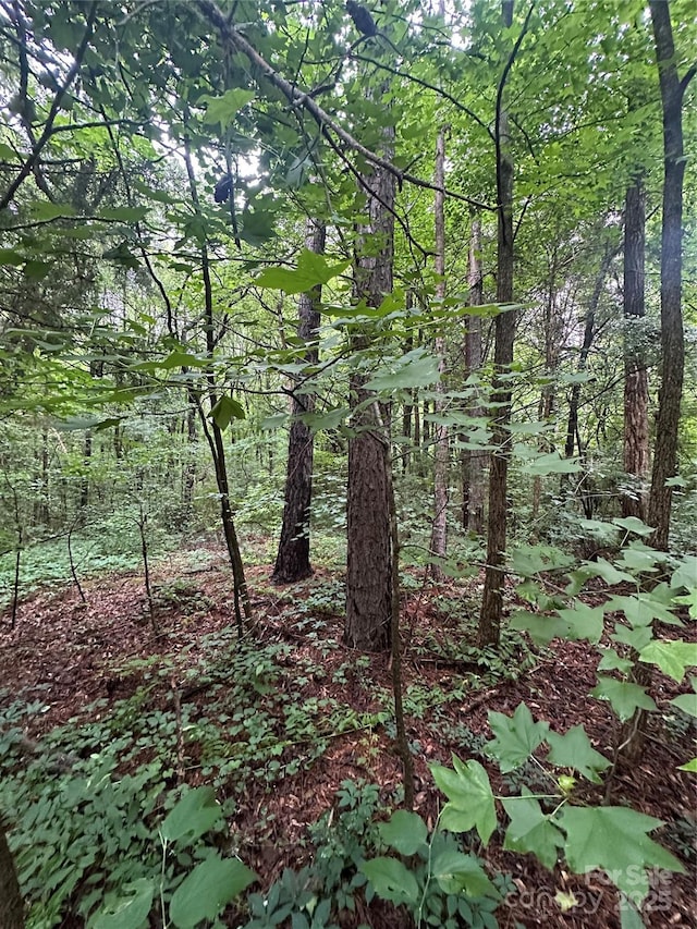 0 Stonegate Rd, Monroe, NC 28110
