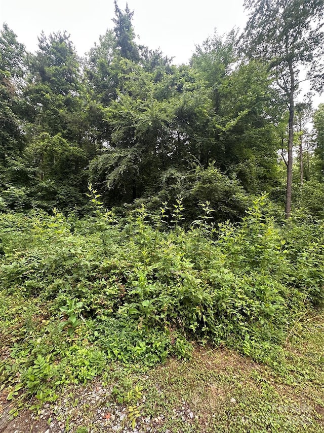 0 Stonegate Rd, Monroe, NC 28110 - photo 5