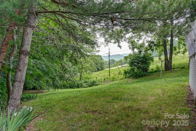 121 Walnut Holler Dr, Waynesville, NC 28786 - view of yard