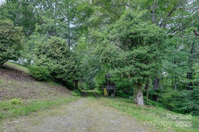 121 Walnut Holler Dr, Waynesville, NC 28786 - view of yard with dirt driveway and a wooded view