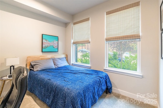 819 Anderson St, Charlotte, NC 28205 - bedroom with carpet and baseboards