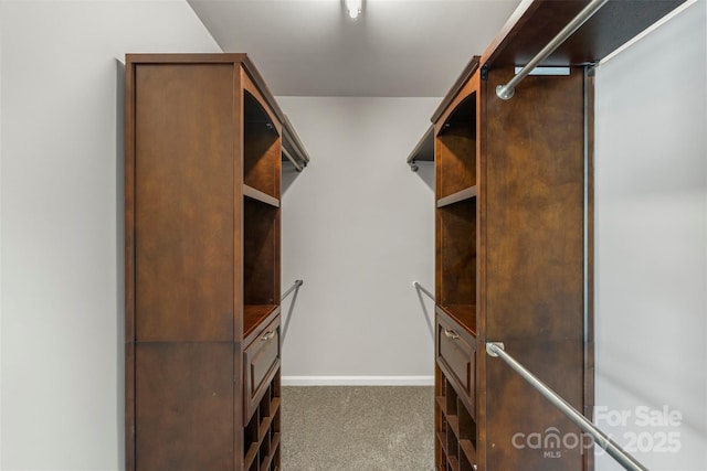 10225 Alexander Martin Ave, Charlotte, NC 28277 - spacious closet with carpet floors