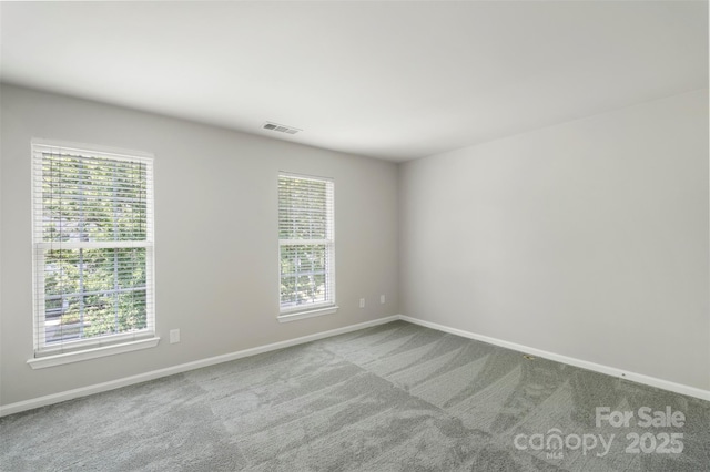 10225 Alexander Martin Ave, Charlotte, NC 28277 - unfurnished room with plenty of natural light and carpet