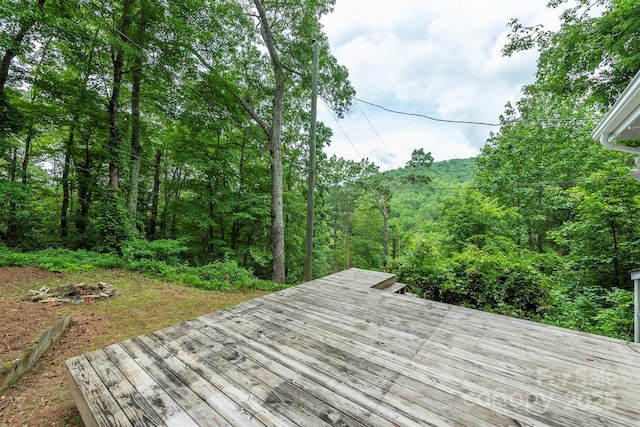379 Rainbow Ter, Black Mountain, NC 28711 - photo 23