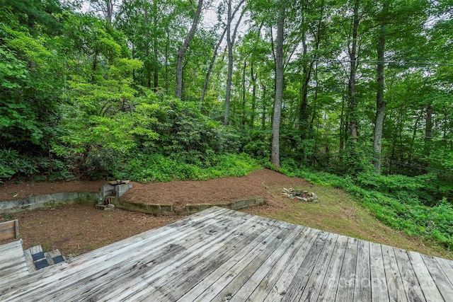 379 Rainbow Ter, Black Mountain, NC 28711 - photo 24