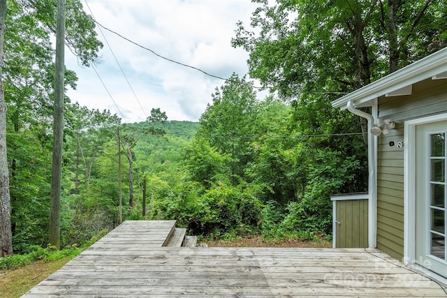 379 Rainbow Ter, Black Mountain, NC 28711 - photo 25