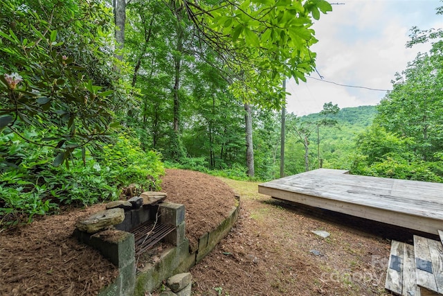 379 Rainbow Ter, Black Mountain, NC 28711 - photo 28
