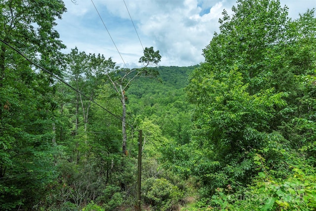 379 Rainbow Ter, Black Mountain, NC 28711 - photo 29
