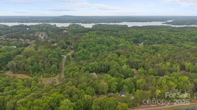 17403 Green Hill Rd, Charlotte, NC 28278 - photo 44