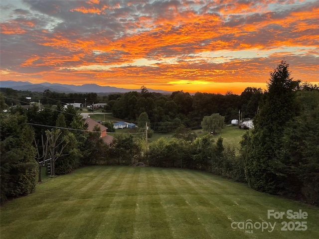 87 Collins Rd, Marshall, NC 28753 - view of green lawn with a mountain view