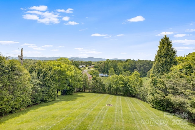 87 Collins Rd, Marshall, NC 28753 - view of yard featuring a mountain view