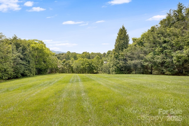 87 Collins Rd, Marshall, NC 28753 - view of yard featuring a view of trees