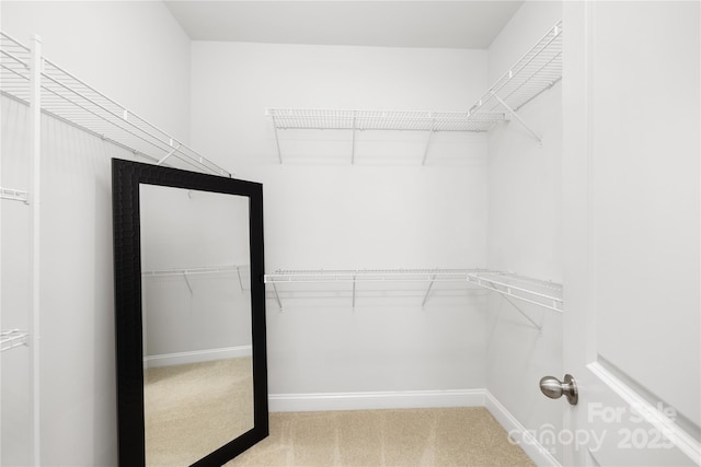 1428 Winding Stream Rd, Charlotte, NC 28206 - spacious closet with carpet floors