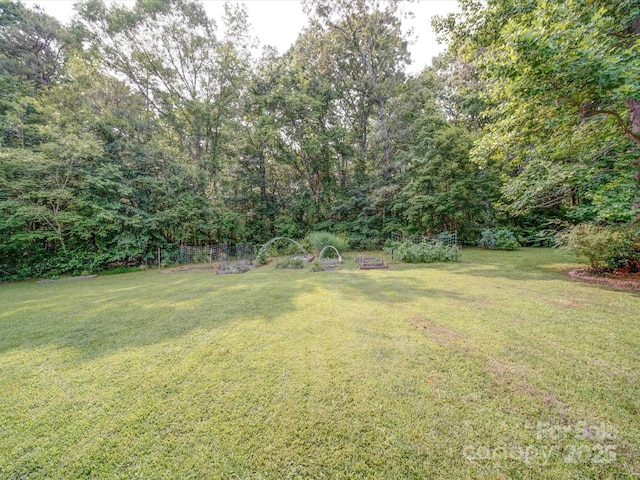 8101 Cane Pointe Ln, Waxhaw, NC 28173 - view of green lawn