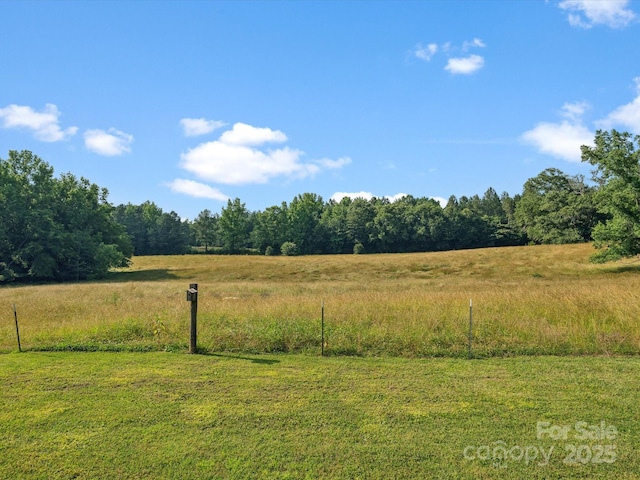 1238 Carl Allen Rd, Edgemoor, SC 29712 - view of yard with a wooded view and a view of countryside