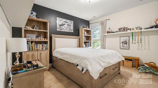 4115 Birkshire Hts, Fort Mill, SC 29708 - bedroom featuring light carpet