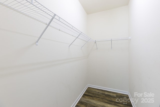 2180 Shady Pond Dr, Clover, SC 29710 - walk in closet with wood finished floors