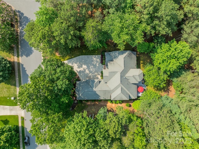 4075 Crepe Ridge Dr, Denver, NC 28037 - photo 7