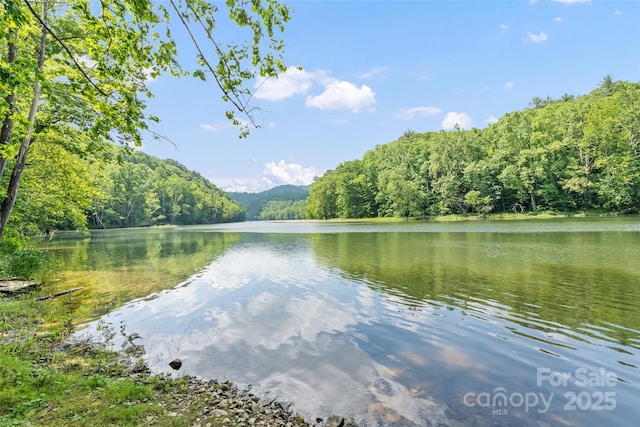 00 White Oak Rd, Waynesville, NC 28785 - photo 1