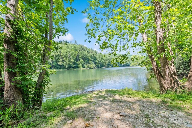 00 White Oak Rd, Waynesville, NC 28785 - photo 4