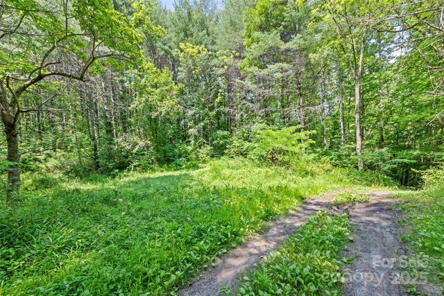 00 White Oak Rd, Waynesville, NC 28785 - photo 5